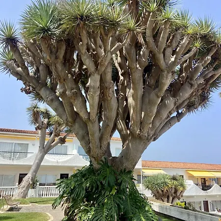 Appartement Guanche Bay Santa Cruz de Tenerife