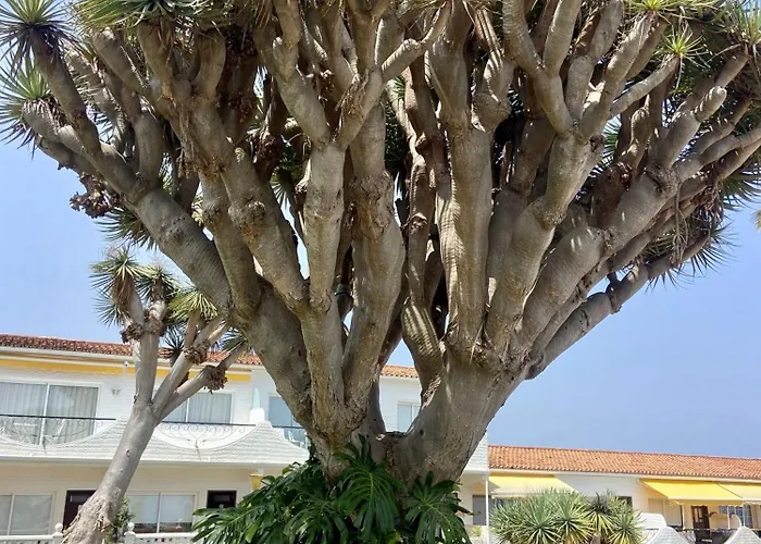 Apartament Guanche Bay Santa Cruz de Tenerife